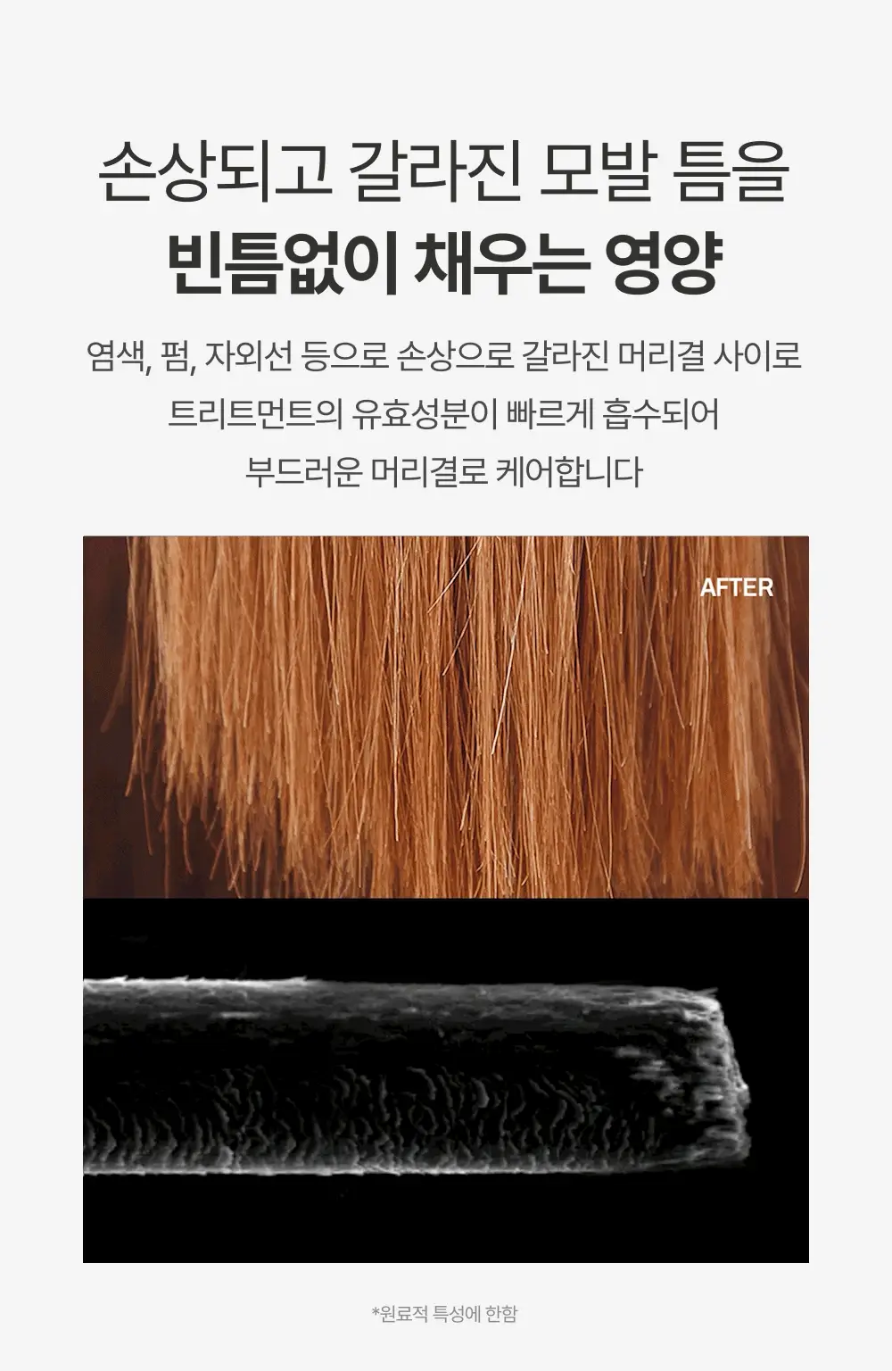 [청담동 헤어샵 찐템] 몽클로스 벨벳 너리싱 트리트먼트 200ml(단품/기획) 상세페이지 10
